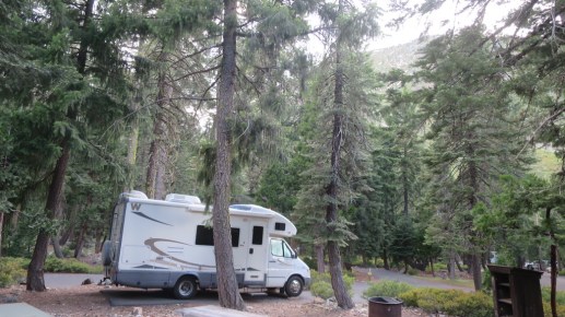 Abby in campsite 36 at Plumas Eureka State Park.