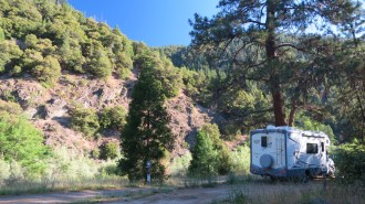 Abby in site 8 at the Sarah Totten Campground.