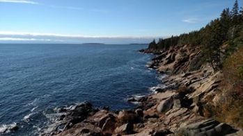 Picture taken when we briefly had sunshine.