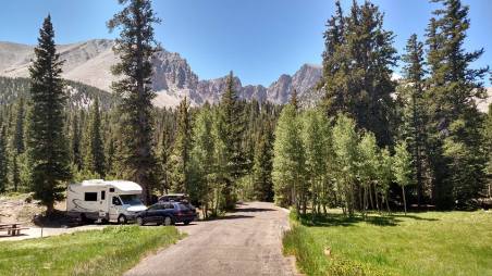Abby at campsite 26 in Wheeler Peak Campground