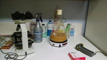Our temporary yeast propagation and laboratory set up in the kitchen.