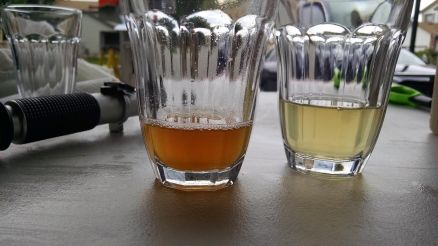 Samples of sweet wort (left) and the last runnings from the mash tun (right).